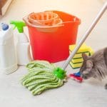 kattenpis verwijderen